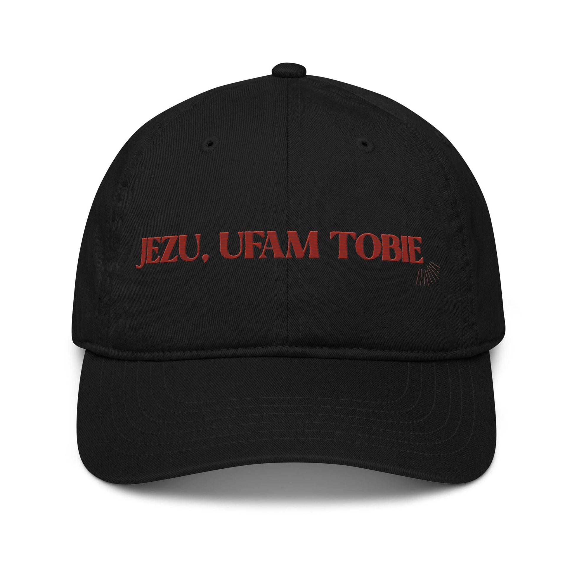 Apliiq hats Divine Mercy Embroidered Organic Cotton Cap