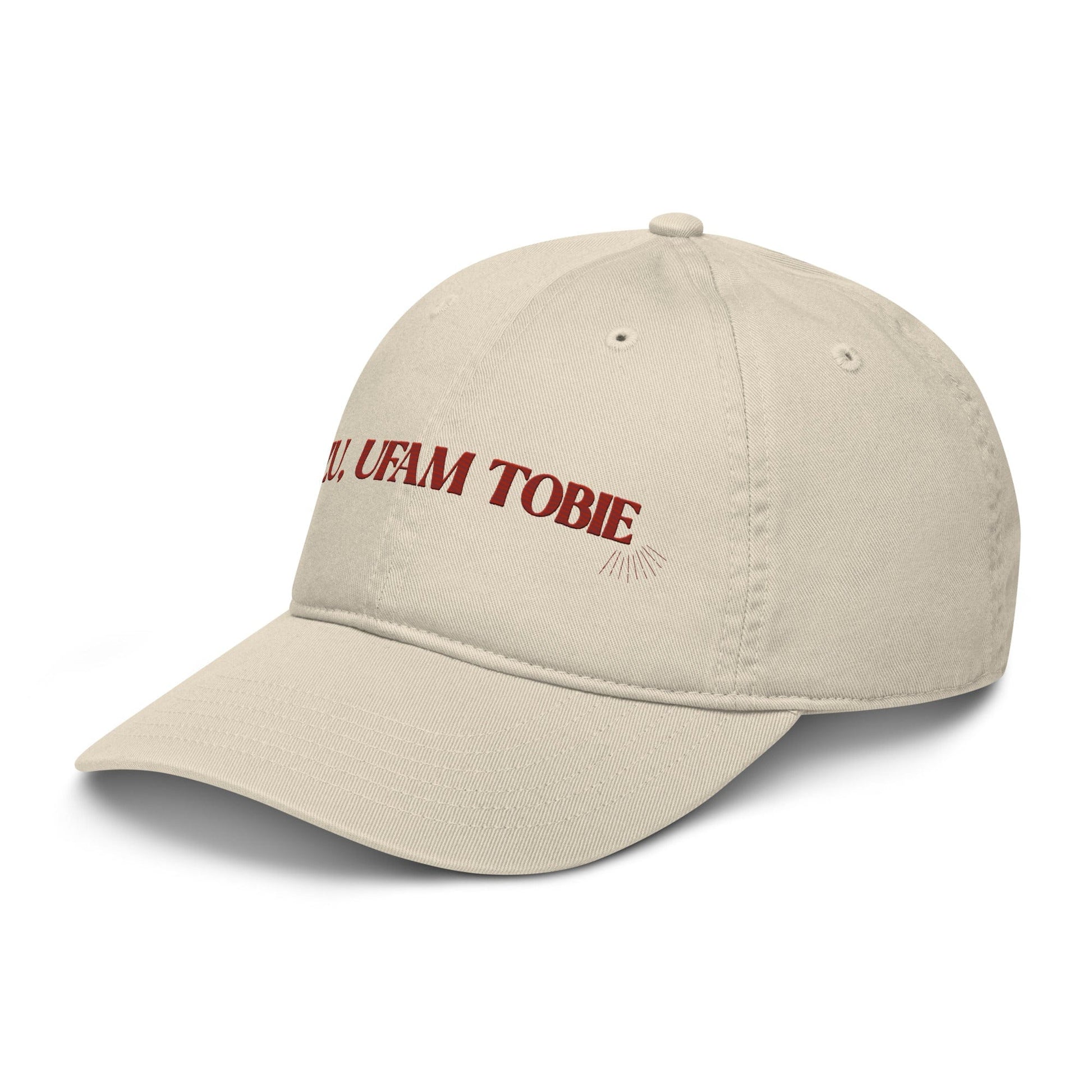 Apliiq hats Divine Mercy Embroidered Organic Cotton Cap