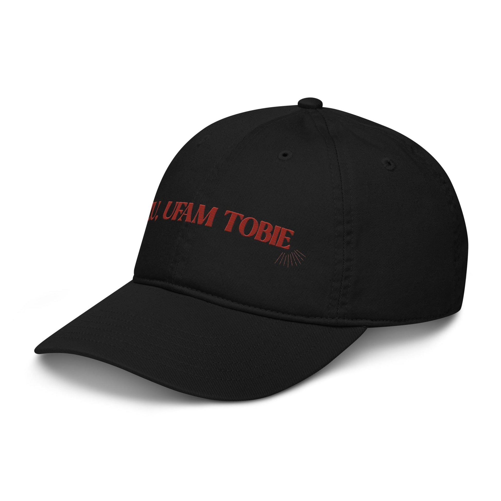 Apliiq hats Divine Mercy Embroidered Organic Cotton Cap