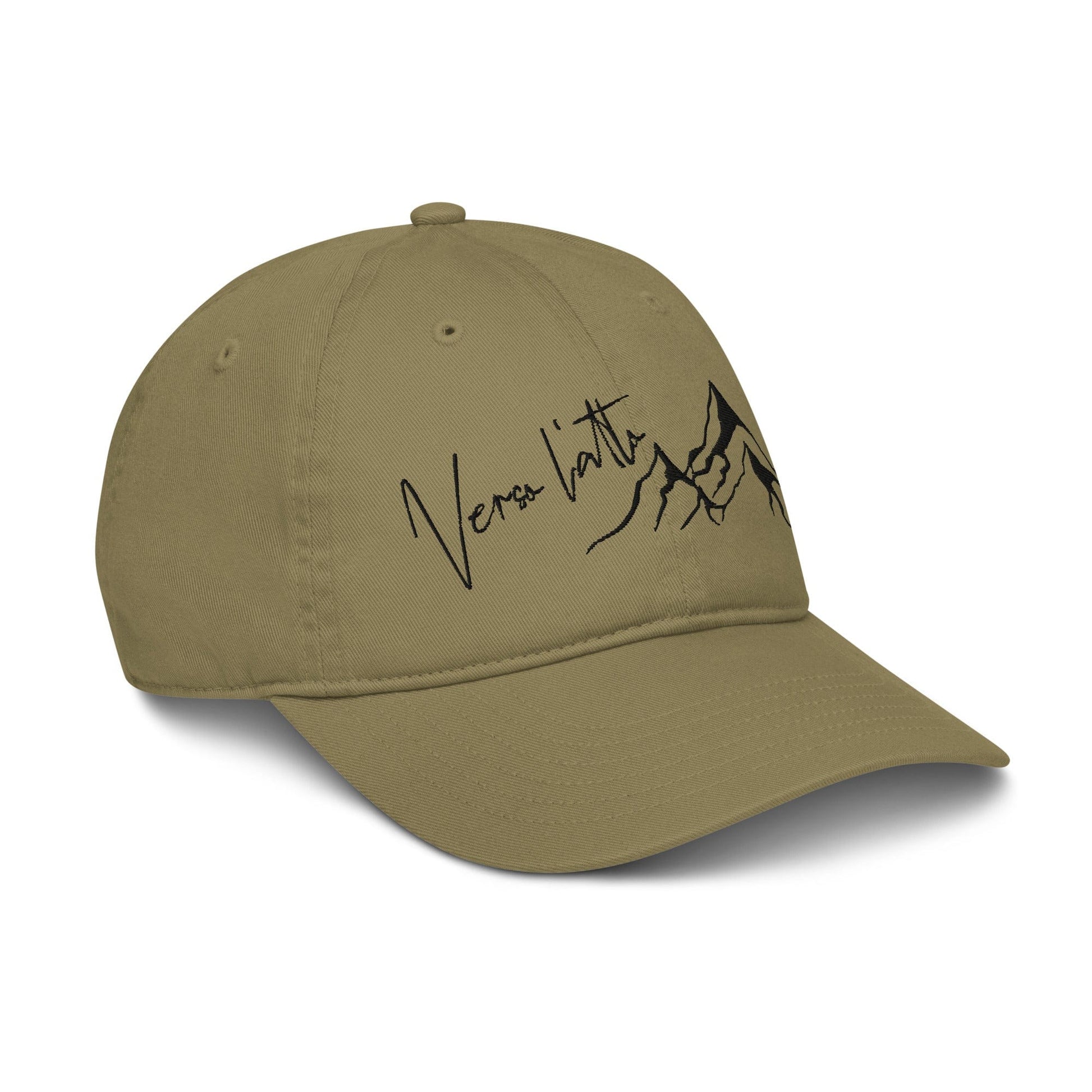 Apliiq hats Verso l'alto Embroidered Organic Cotton Cap