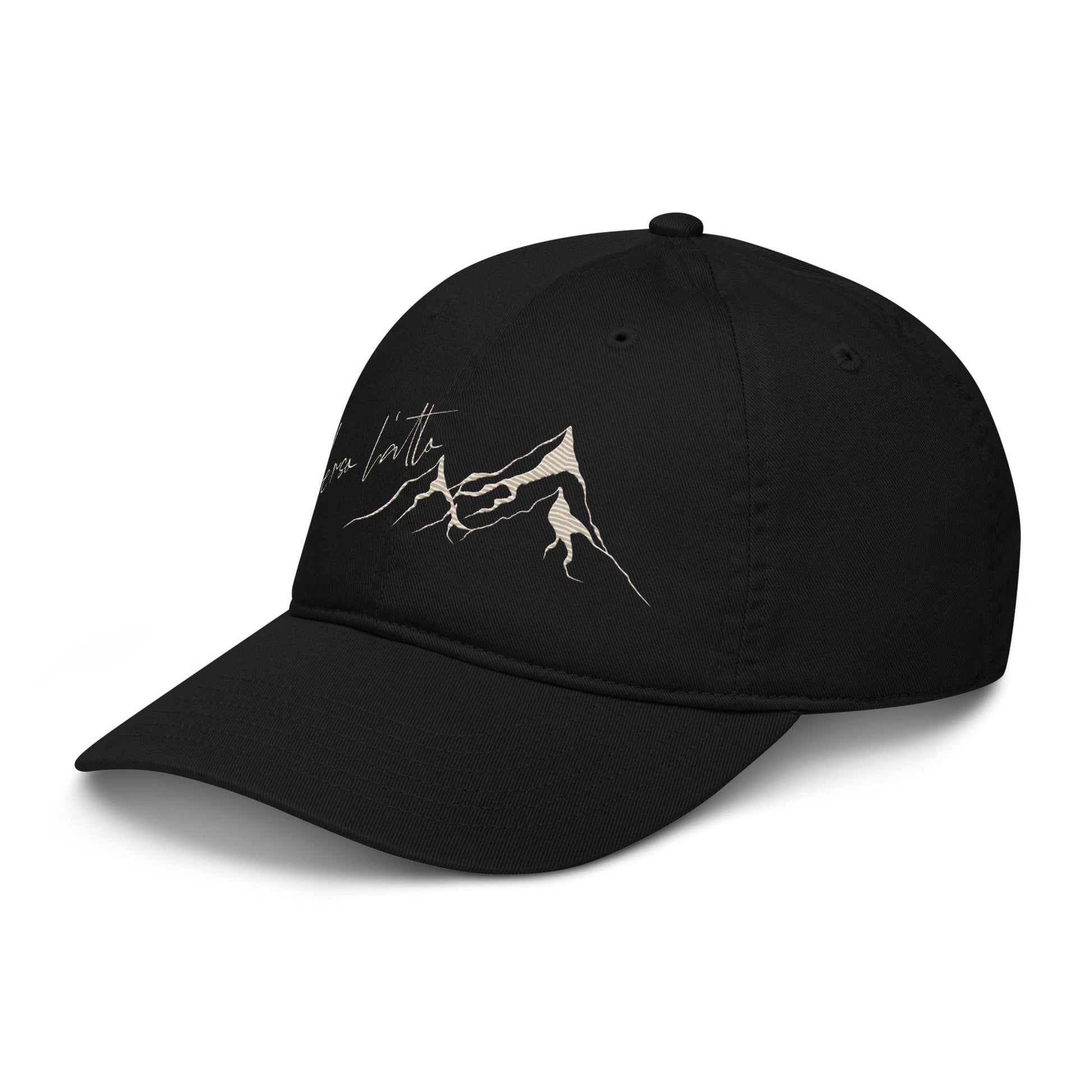 Apliiq hats Verso l'alto Embroidered Organic Cotton Cap